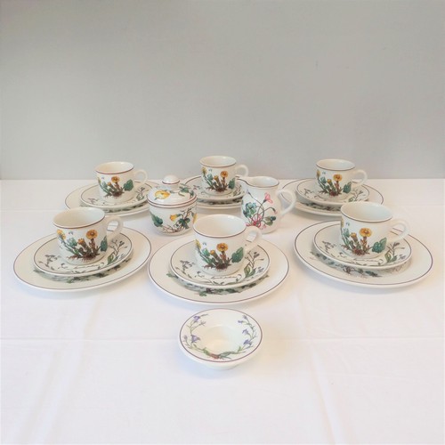 Villeroy boch botanica - botanica,